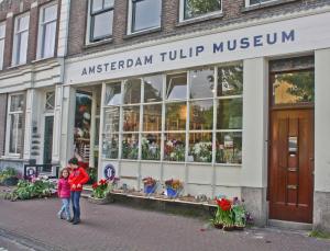 Tulip Museum, Amsterdam, the Netherlands